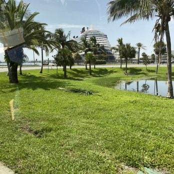 Disney Wish - Travel Services Near Me - Port Canaveral, Florida