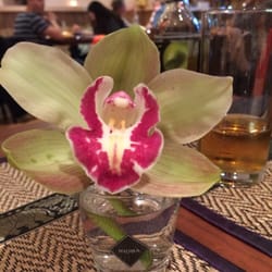 De Orchidee