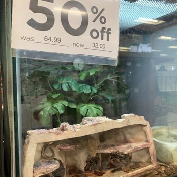 Petco - Profoundly disturbing seeing animals, from cruel breeding mills, being sold like merchandise.... at a discount event - Pet Stores Near Me - San Francisco, California Petco - Profoundly disturbing seeing animals, from cruel breeding mills, being sold like merchandise.... at a discount event - Pet Stores Near Me - San Francisco, California
