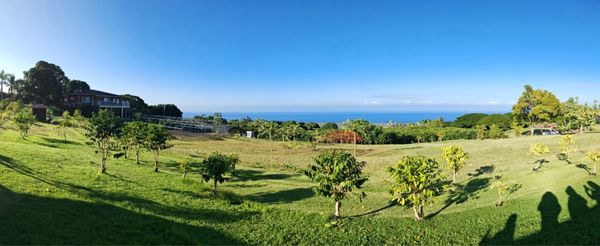 Kona Coffee Living History Farm by null