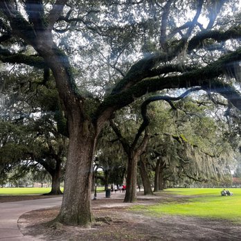 Forsyth Park - Parks Near Me - Savannah, Georgia Forsyth Park - Parks Near Me - Savannah, Georgia