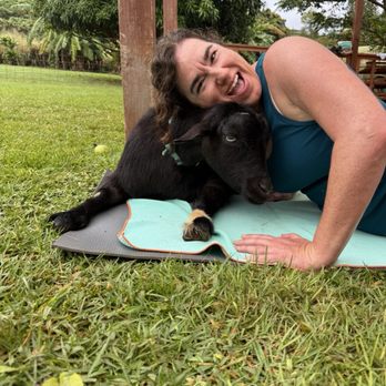 808 Goat Yoga - Yoga Near Me - Kilauea, Hawaii