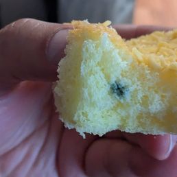 mold in the Cheesy Mamon mold in the Cheesy Mamon