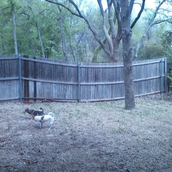 Crazy Cat Lady Pet Sitting - Dog Walkers Near Me Crazy Cat Lady Pet Sitting - Dog Walkers Near Me