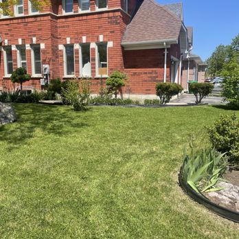 Forever Growth - After - Lawn Services Near Me