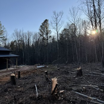 Premier Land Solutions - Tree Services Near Me - Ellijay, Georgia Premier Land Solutions - Tree Services Near Me - Ellijay, Georgia