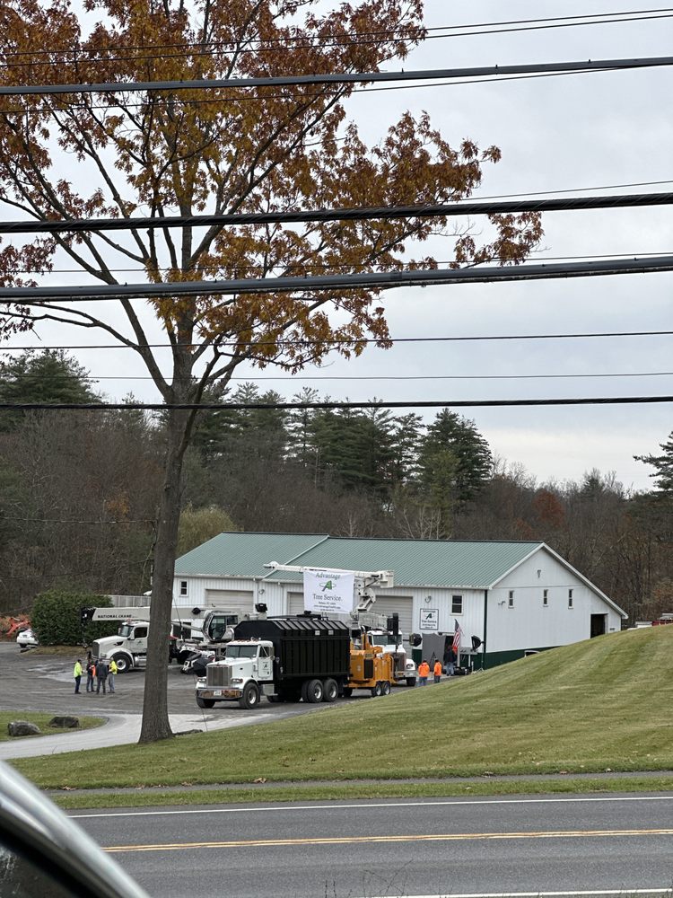 ADVANTAGE TREE SERVICE Updated August 2024 15 Photos & 22 Reviews