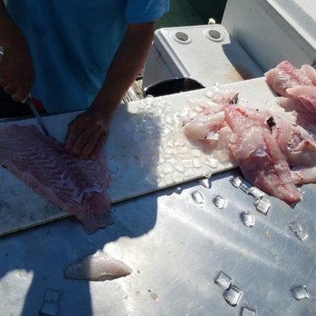 Gulfstream Fishing Charters - Tons of Grouper - Boating Near Me - Clearwater Beach, Florida