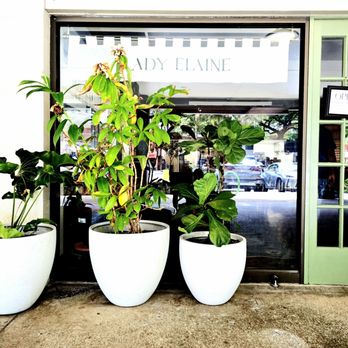 Lady Elaine - Entrance - Mediterranean Near Me - Honolulu, Hawaii Lady Elaine - Entrance - Mediterranean Near Me - Honolulu, Hawaii