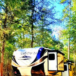 Magical Forest RV Resort - RV Resort made to accomodate any size RV and provide shade plus Privacy!