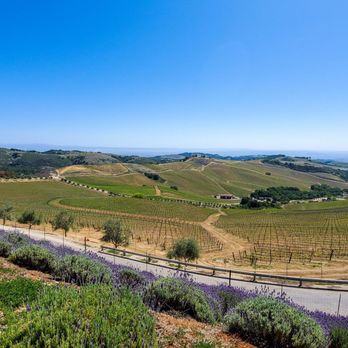 DAOU Vineyards - Wineries Near Me - Paso Robles, California DAOU Vineyards - Wineries Near Me - Paso Robles, California