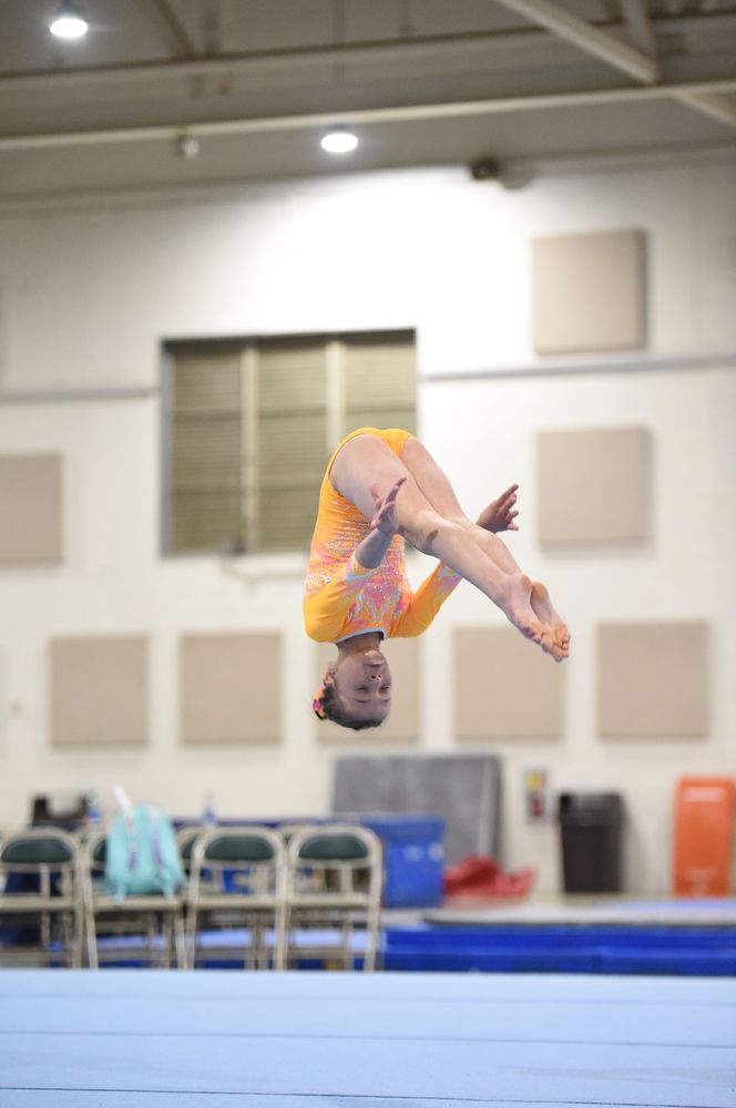 PEACH STATE GYMNASTICS Updated September 2024 1153 Peach Pkwy, Fort