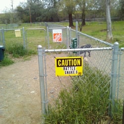 Yes watch out for rattle snakes
