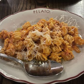Pelato - Radiatori Vodka - Italian Near Me - Nashville, Tennessee Pelato - Radiatori Vodka - Italian Near Me - Nashville, Tennessee