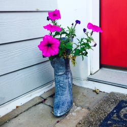 Along the Harbor B&b