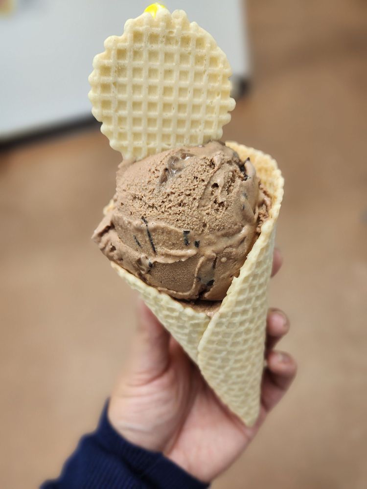 Pompelmo Gelateria Logo