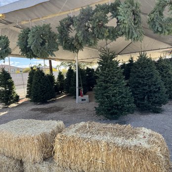 Moon Valley Nurseries - Trees and Wreaths - Nurseries & Gardening Near Me - Las Vegas, Nevada Moon Valley Nurseries - Trees and Wreaths - Nurseries & Gardening Near Me - Las Vegas, Nevada