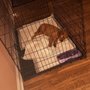 Photo of Prince George's Animal Services Facility