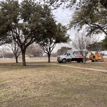 Cabrera Tree Service - Tree Services Near Me