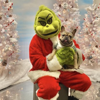 Mau's House - Grinch & Toretto - Pet Groomers Near Me - Chicago, Illinois
