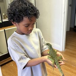 Chinese Water Dragon Chinese Water Dragon