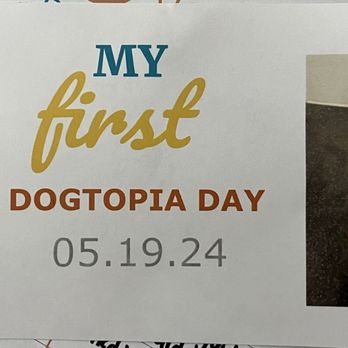 Dogtopia of Arcadia - Pet Boarding Near Me - Phoenix, Arizona Dogtopia of Arcadia - Pet Boarding Near Me - Phoenix, Arizona