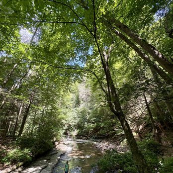 Fillmore Glen State Park - Parks Near Me - Moravia, New York Fillmore Glen State Park - Parks Near Me - Moravia, New York