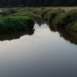 Coast Shuttle - Where I live. Warrenton Or (Skipanon River).