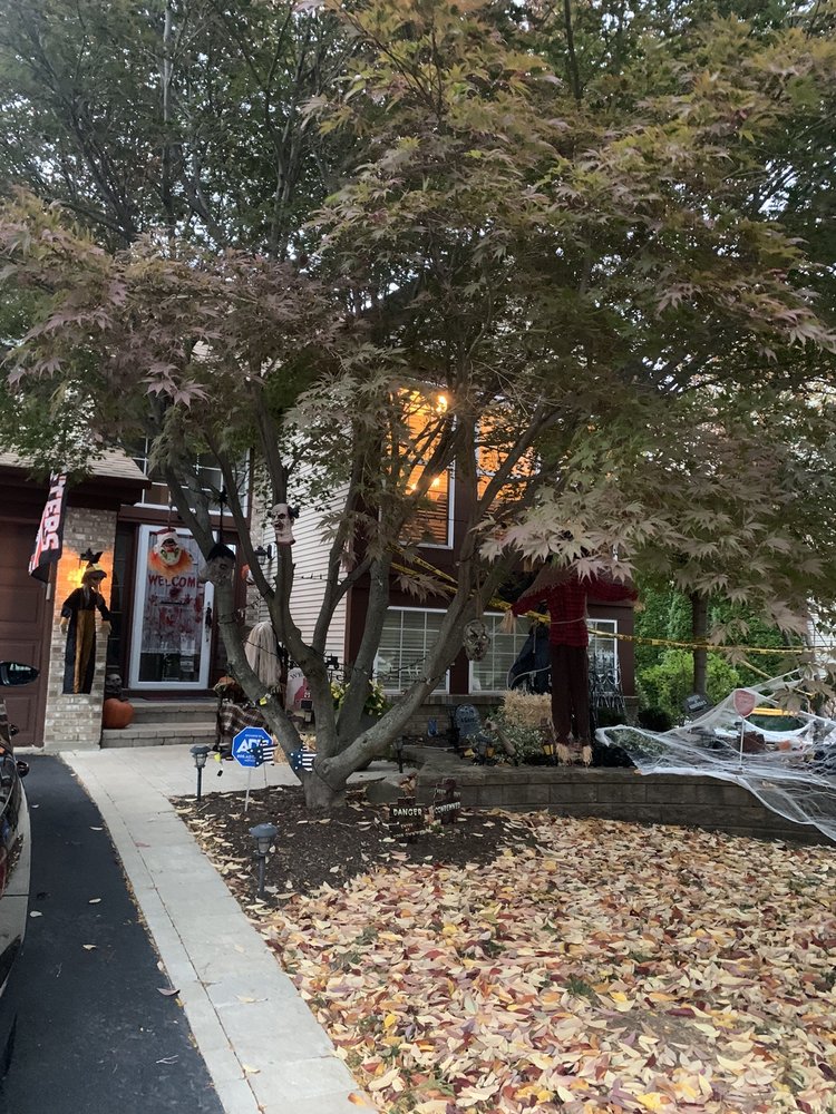 THAT PAINTER GUY Updated October 2024 11 Photos Palatine, Illinois Painters Phone