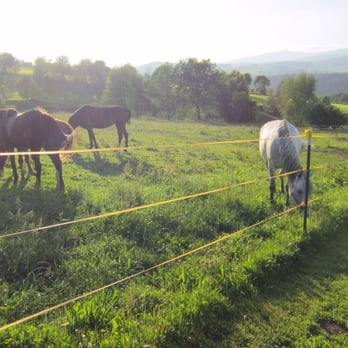 Good Hill Reiterhof - Unsere Pferde auf der Koppel - Vacation Rentals Near Me - Freyung, BY Good Hill Reiterhof - Unsere Pferde auf der Koppel - Vacation Rentals Near Me - Freyung, BY