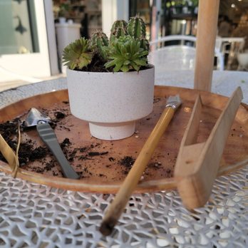 Pigment - Tools to customize your succulents. - Home Decor Near Me - San Diego, California Pigment - Tools to customize your succulents. - Home Decor Near Me - San Diego, California