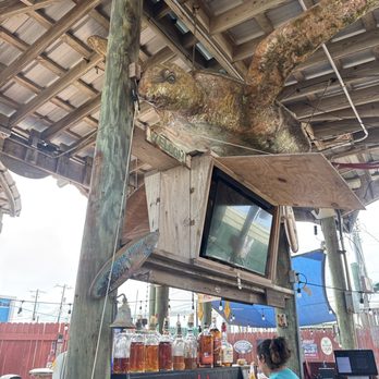 Pier 99 - View from outside bar top. - Seafood Near Me - Corpus Christi, Texas Pier 99 - View from outside bar top. - Seafood Near Me - Corpus Christi, Texas