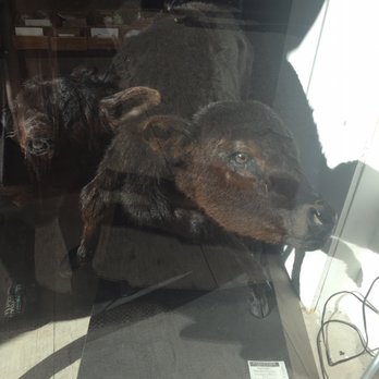 The Evolution Store - Home Decor Near Me - New York, New York