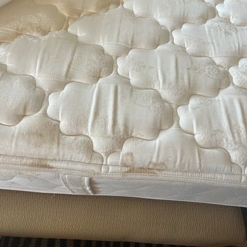 Berkeley Oceanfront Hotel - Urine stain on side of the mattress - Hotels Near Me - Asbury Park, New Jersey Berkeley Oceanfront Hotel - Urine stain on side of the mattress - Hotels Near Me - Asbury Park, New Jersey