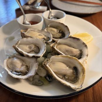Camelia - Oysters - French Near Me - Los Angeles, California