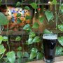 Photo of Young Blood Beer