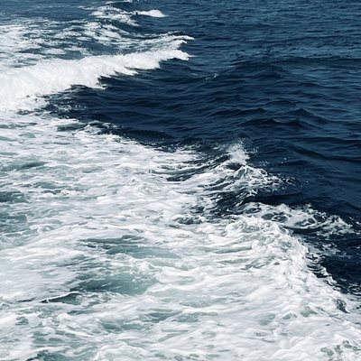Hyannis Whale Watcher Cruises by null