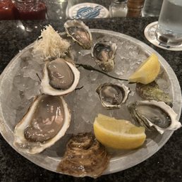 Oysters