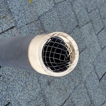 Attic Crew - Pest Control Near Me - Everett, Washington Attic Crew - Pest Control Near Me - Everett, Washington