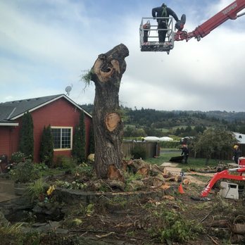 SavATree Beaverton - Pest Control Near Me - Beaverton, Oregon