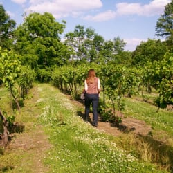 Slate Run Vineyard Winery