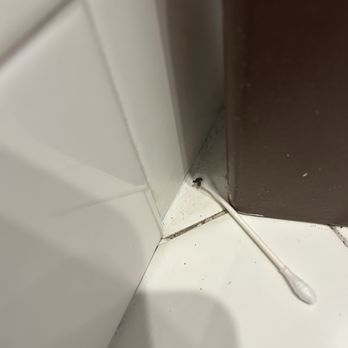 Chateau Avalon - Mouse poop? - Hotels Near Me - Kansas City, Kansas