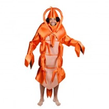 Sigue el Carnaval - Party Supplies Near Me - Valencia, V