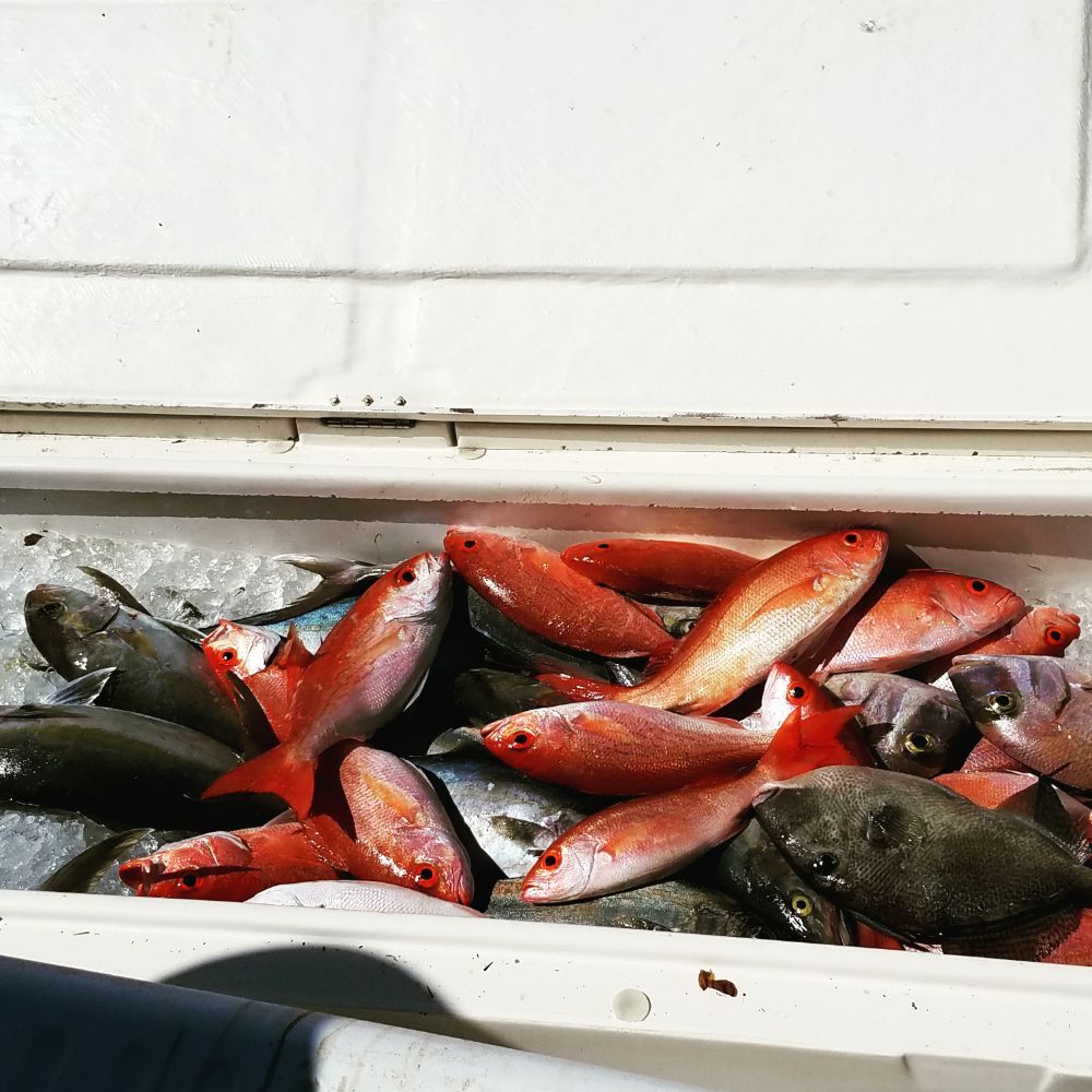 SWEET LIPS FISHING CHARTERS 180 Photos 4870 Ocean St, Jacksonville