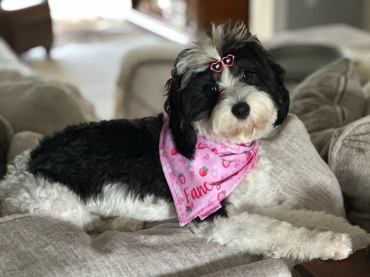 Edley's Bar-B-Que by null