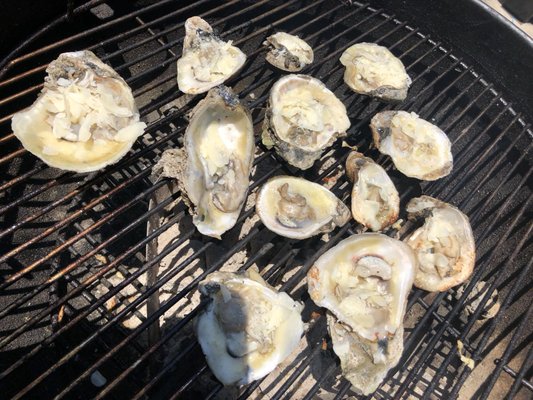 P & J Oyster Company, Inc. by null