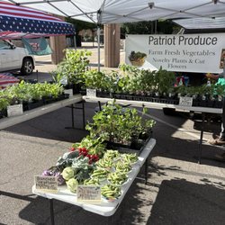Fresh produce and garden starters