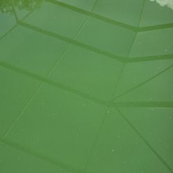 Pool Works