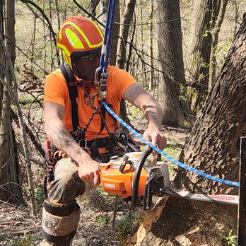 Royal Oak Tree Services - Climber Jim Russell stump cutting a Cherry Tree in Lower Burrell, PA - Tree Services Near Me - Tarentum, Pennsylvania Royal Oak Tree Services - Climber Jim Russell stump cutting a Cherry Tree in Lower Burrell, PA - Tree Services Near Me - Tarentum, Pennsylvania