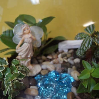 Marni's Petal Pushers - We have terrariums for everyone. - Florists Near Me - Aberdeen, Washington Marni's Petal Pushers - We have terrariums for everyone. - Florists Near Me - Aberdeen, Washington